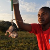 Stephen Kinyua (former MSc student, Moi U)