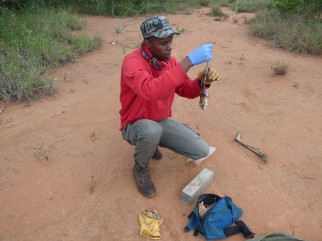 Alois Wambua (former research technician, Mpala)